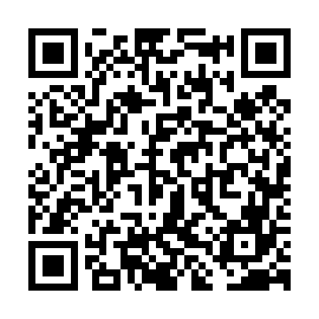 QR code for VLV466