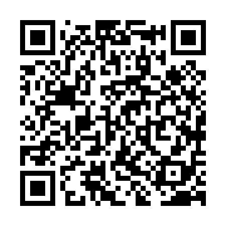 QR code for VLX018