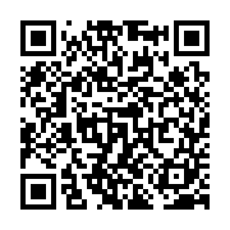 QR code for VMG341