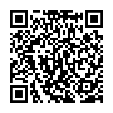 QR code for VMG378
