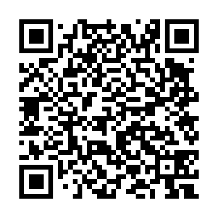 QR code for VMG438