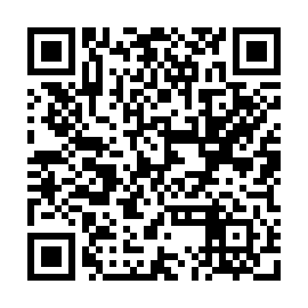 QR code for VMO341
