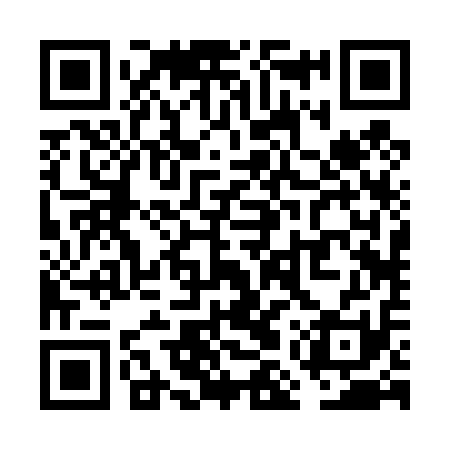 QR code for VMR411
