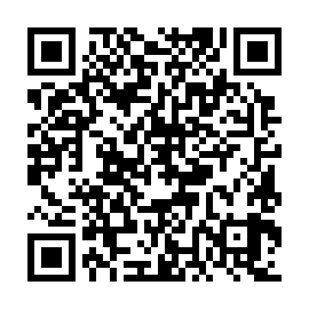 QR code for VNE389