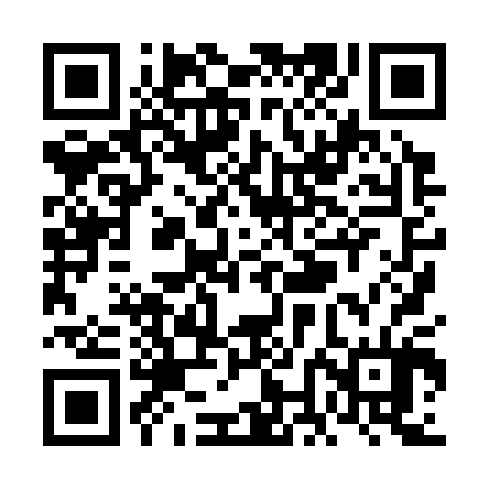 QR code for VNH304