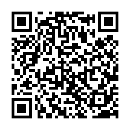 QR code for VNL410