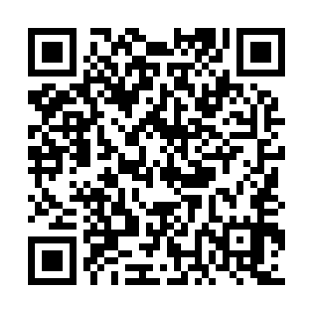 QR code for VNL955