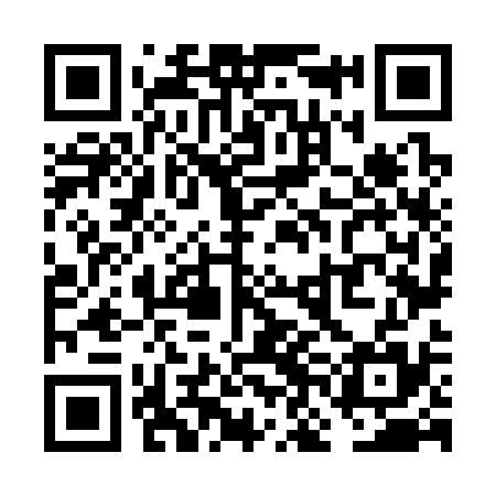 QR code for VNN335