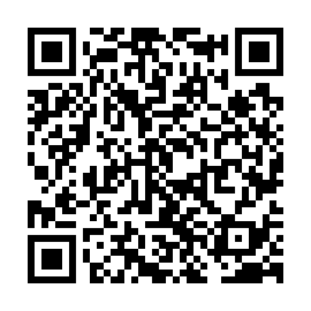 QR code for VNN739