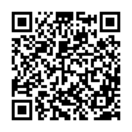 QR code for VNP246