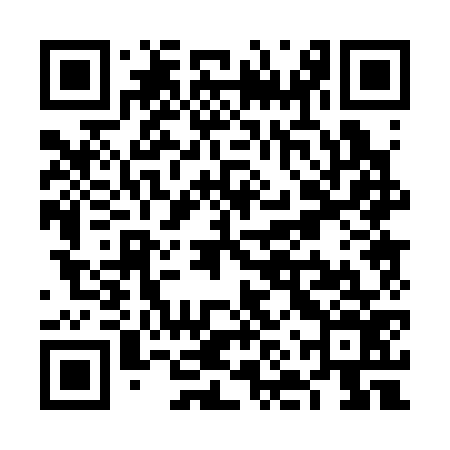 QR code for VNP376