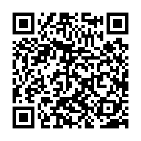QR code for VNP729
