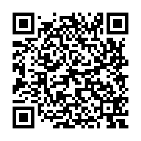 QR code for VNP919