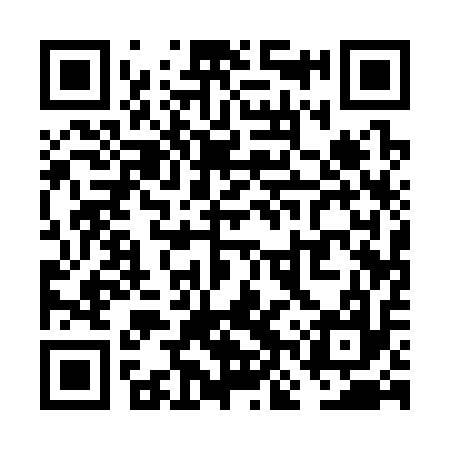 QR code for VNQ317