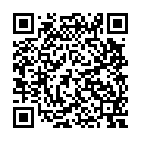 QR code for VNS093