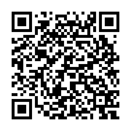 QR code for VNS336