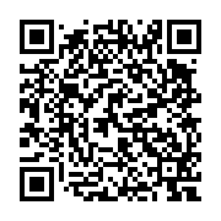 QR code for VNS493