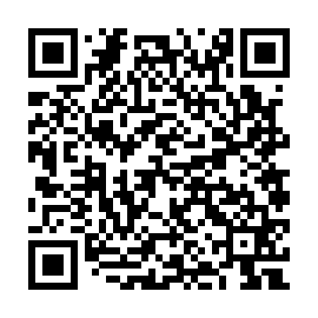 QR code for VNV161