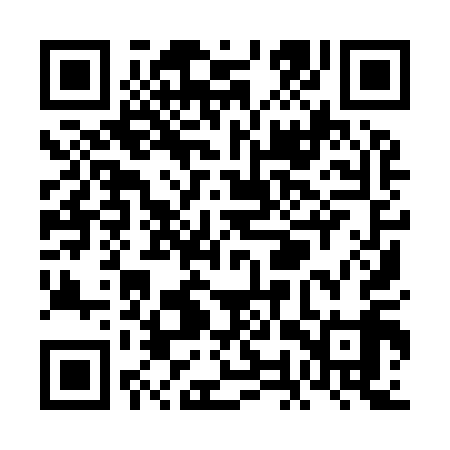 QR code for VOY919