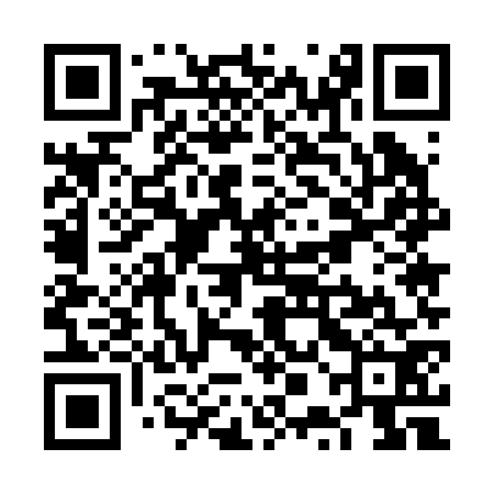 QR code for VPE272