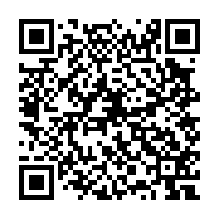 QR code for VPG013