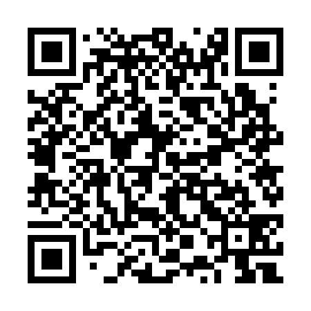 QR code for VPG339