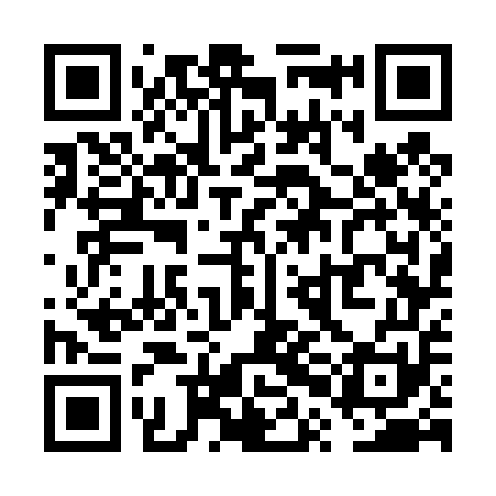 QR code for VPG451