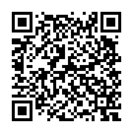 QR code for VPG455