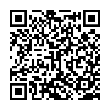 QR code for VPG541