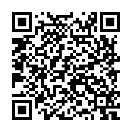 QR code for VPH916