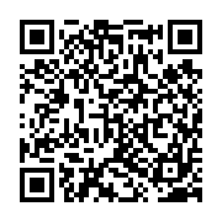 QR code for VPI617