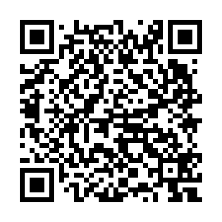 QR code for VPI619