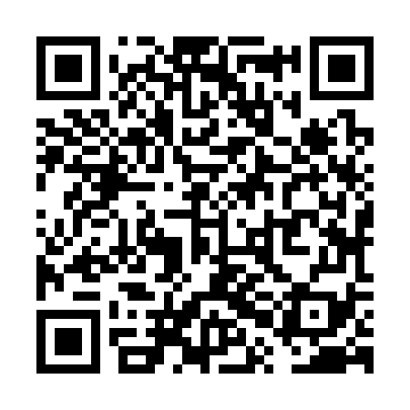 QR code for VPJ379