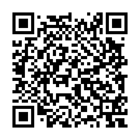 QR code for VPL010
