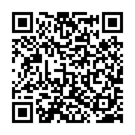 QR code for VPL291