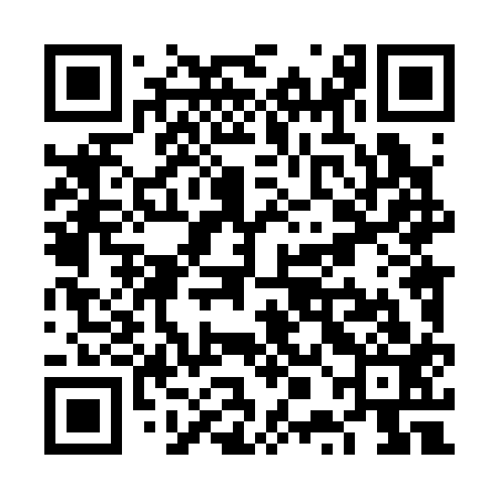 QR code for VPL313