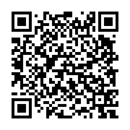 QR code for VPL475