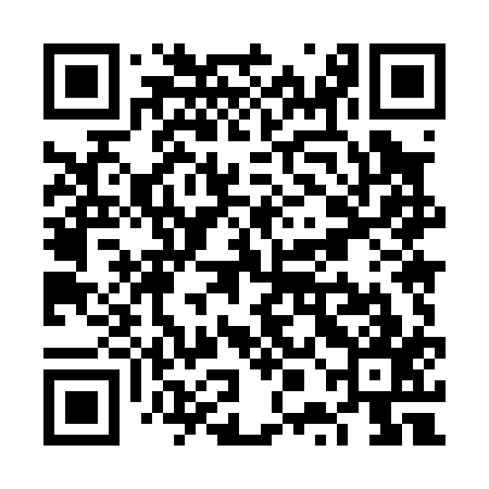 QR code for VPM017