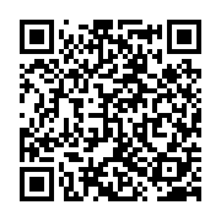 QR code for VPM208