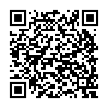 QR code for VPM293