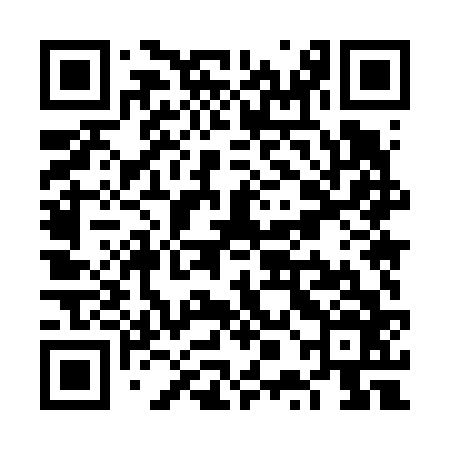 QR code for VPM666