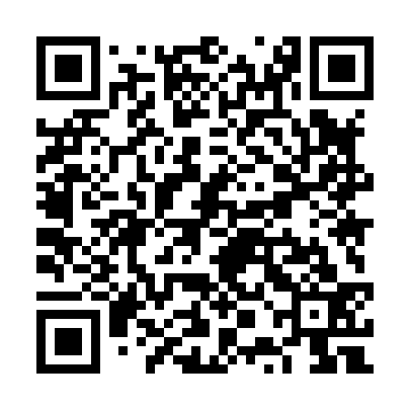 QR code for VPM833