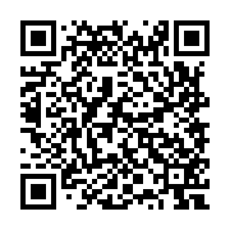 QR code for VPN953