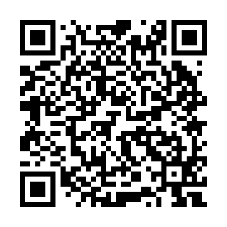 QR code for VPQ295