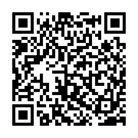 QR code for VPQ313