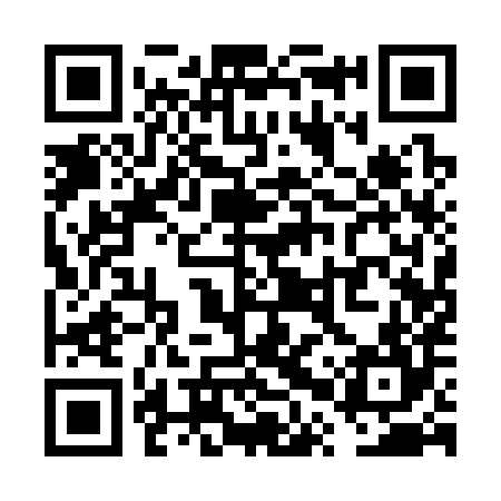 QR code for VPQ384
