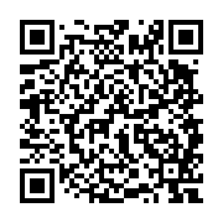 QR code for VPV485