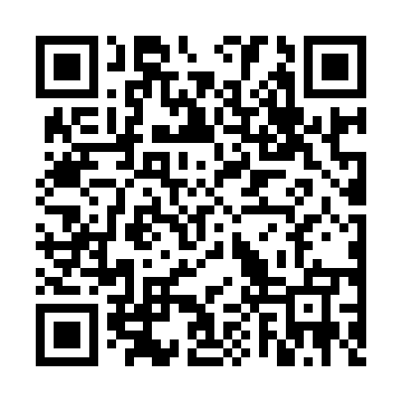 QR code for VPV955