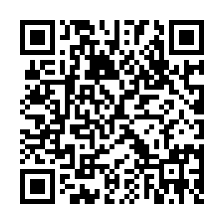 QR code for VPZ991