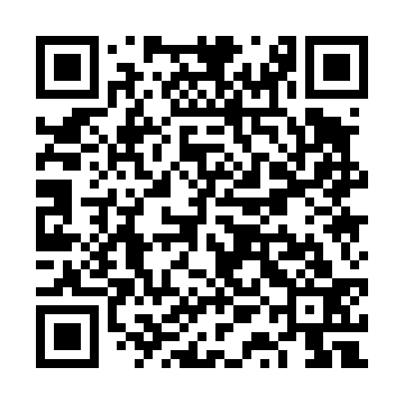 QR code for VQA433